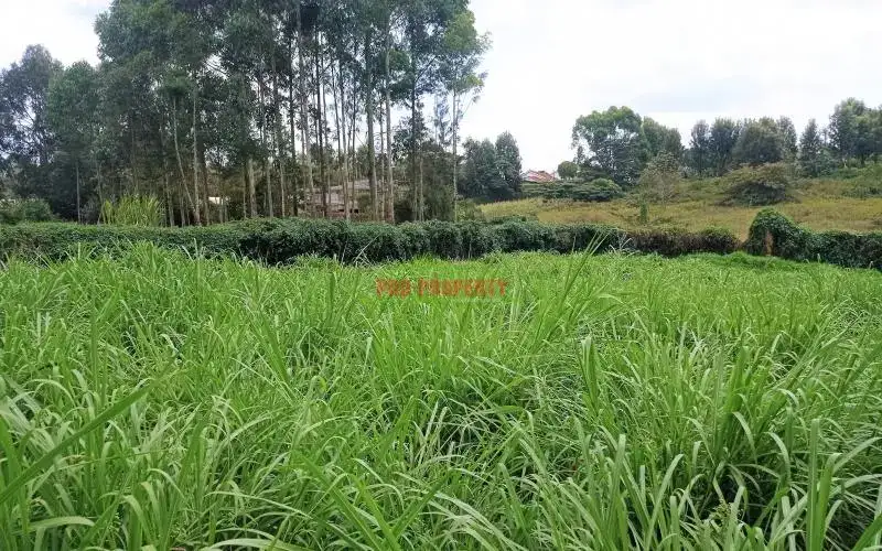 Ngong land for sale